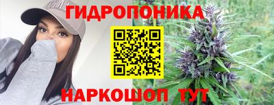 Альфа ПВП Заволжье