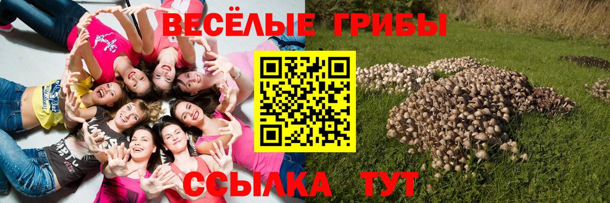 Меф мяу мяу Зеленогорск