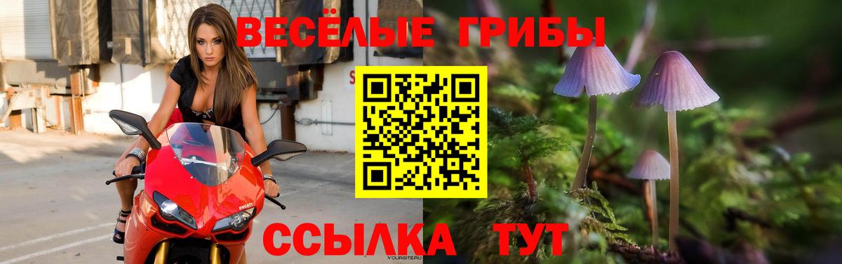 Псилоцибиновые грибы прущие грибы Зеленогорск